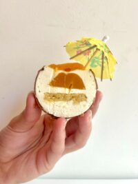 Alternative view of Coconut